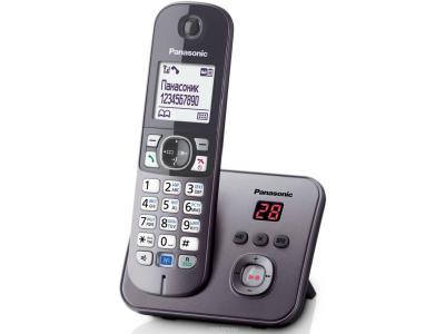 Радиотелефон Panasonic KX-TG 6821CAM серый