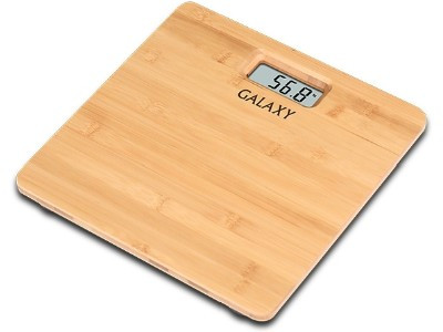 Напольные весы Galaxy GL 4809, фото 1