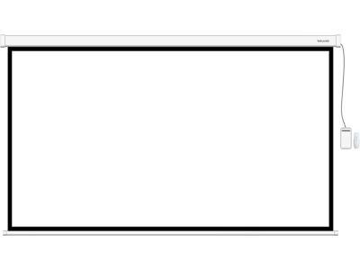 Проекционный экран De Luxe DLS-ERC265х149W 302 см