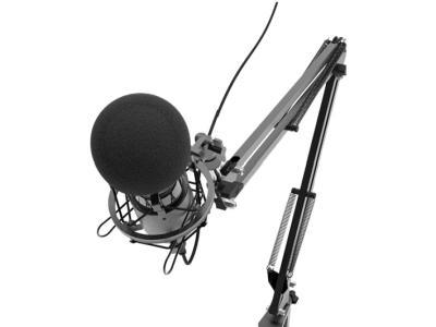 Микрофон Ritmix RDM-180 черный - фото 2 - id-p94306247