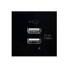 Shelbi Розетка зарядка 2- портовая USB, 4.2A, 45х45, чёрная, фото 3