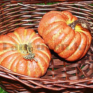 Жіңішке аққұба фото сорғыш