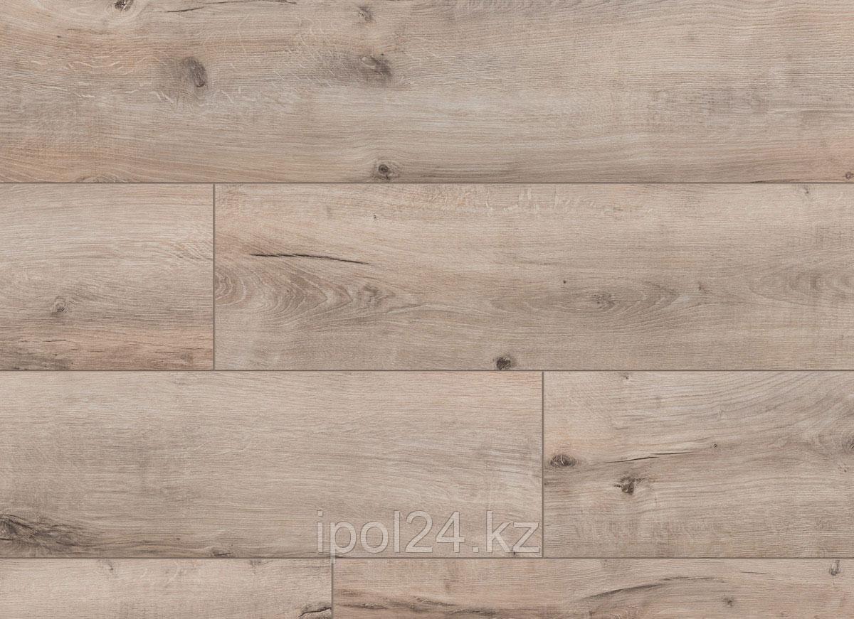 Classen Ламинат Harmony Forte 44968 Дуб Тренто