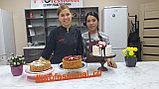 Курсы пекаря-кондитера в г.Нур-Султан (Астана), фото 5