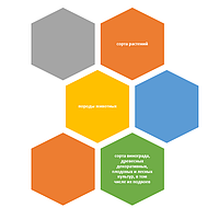 Plant breeders rights protection terms in Kazakhstan