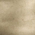 Интерьерная пленка ПВХ EV083 0.42 mmx1220mmx50mМЕТР, фото 2