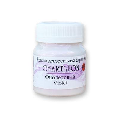 Краска акриловая "Хамелеон", фиолетовый - фото 1 - id-p94537149