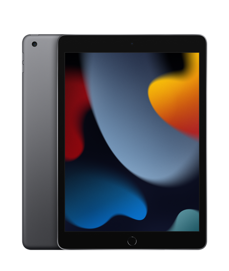 IPad 10.2 (2021) 256Gb Wi-Fi + Cellular Space Gray