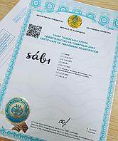 The procedure and general rules for recognizing a trademark as well-known in the Republic of Kazakhstan.