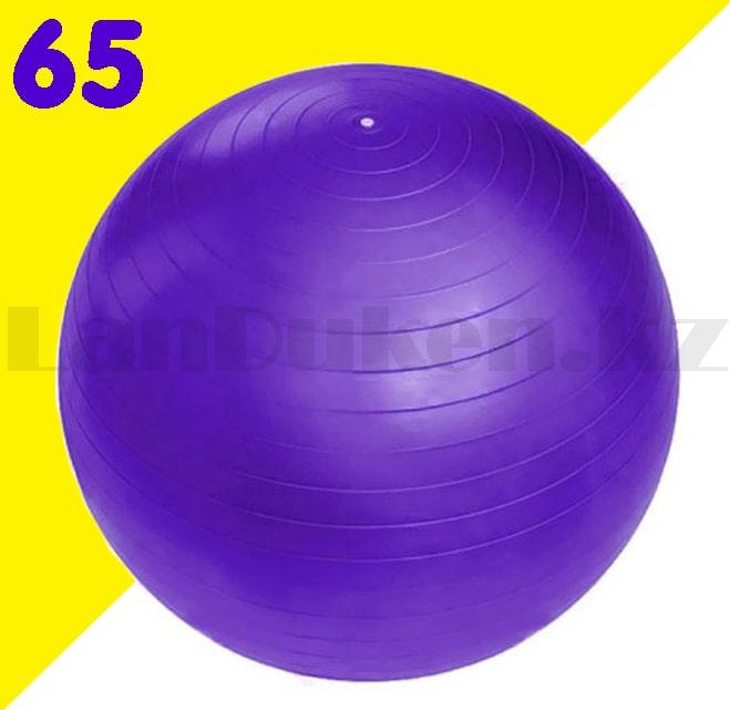 Гимнастический мяч (фитбол) 65 см фиолетовый - фото 1 - id-p94567398