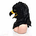 Голова черного Орла, фото 2
