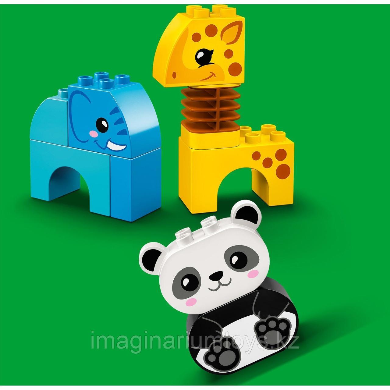 Конструктор LEGO DUPLO Поезд для животных - фото 5 - id-p94571433