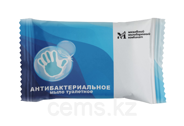 Ординарное Мыло туалетное Антибактериальное 100г, фото 1