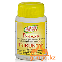Трикунтак - здоровье почек (Trikuntak SHRI GANGA), 100 таб
