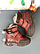 MINICAN обувь зимние детские сапоги с натуральным мехом из кожи на липучках, фото 4
