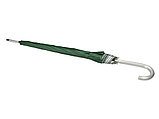 Зонт-трость полуавтомат Майорка, зеленый/серебристый, фото 2