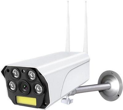 Камера видеонаблюдения Ritmix IPC-270S белый