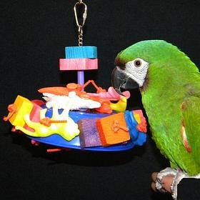 Игрушки для попугаев 