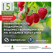 Семинар "Эффективность подкормок водорастворимыми NPK на ягодных культурах"
