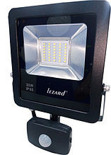 Прожектор Lezard 30W SMD 2400LM 6500K IP65