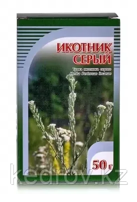 Икотник серый, трава 50гр
