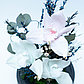 Стабилизированная композиция из орхидей "Букет весны", фото 4