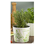 Горшок керамика серия COLORFUL MIX 870/14 | Scheurich, фото 4