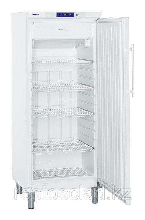ШКАФ морозильный Liebherr GASTRO Profi line GGv 5010 001 с глухой дверью