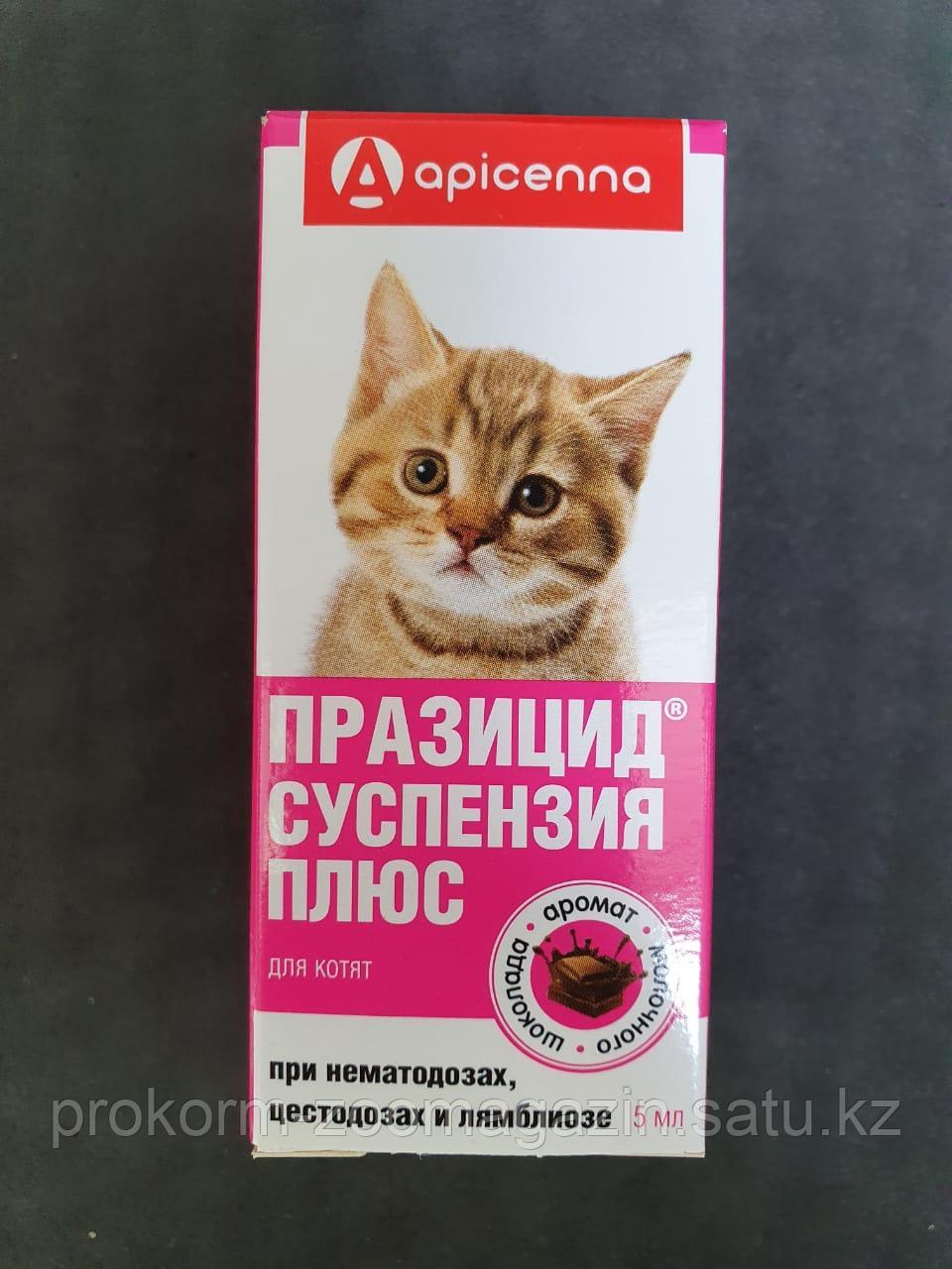 API-SAN Празицид-Суспензия ПЛЮС для котят, 5 мл - фото 1 - id-p94958555
