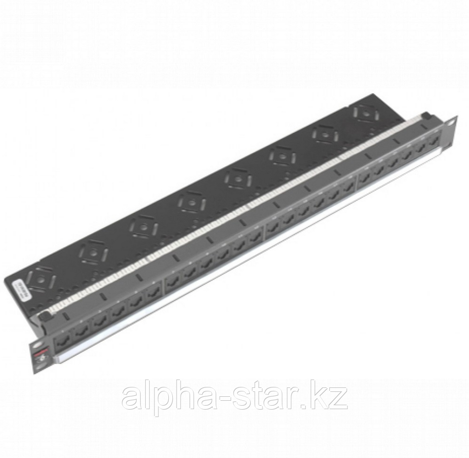 Патч-панель Molex PowerCat PID-00141 19", 24xRJ45, DG+, UTP, кат. 6, 1U P