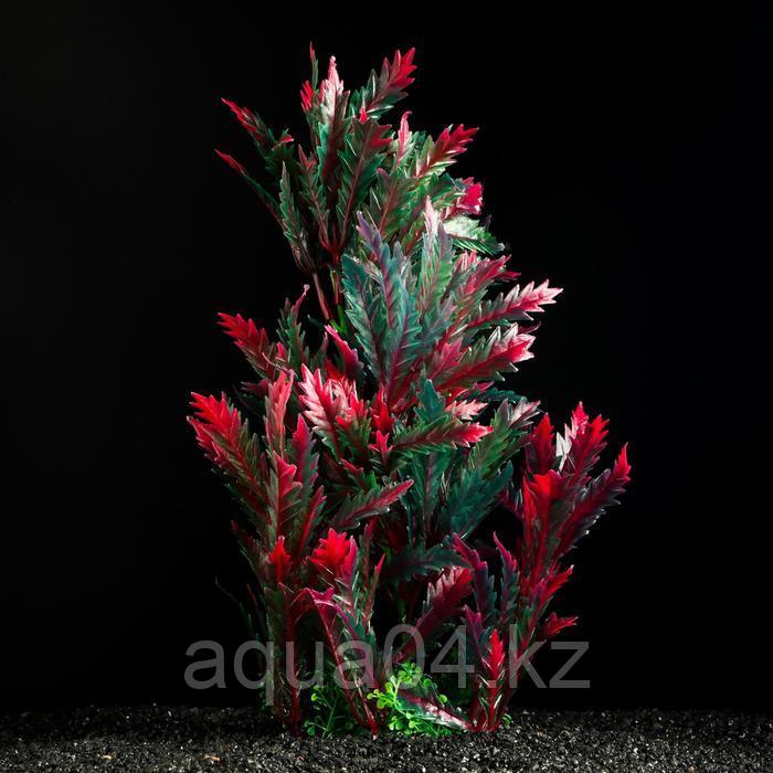 Растение искусственное Красно-зеленое 28 см