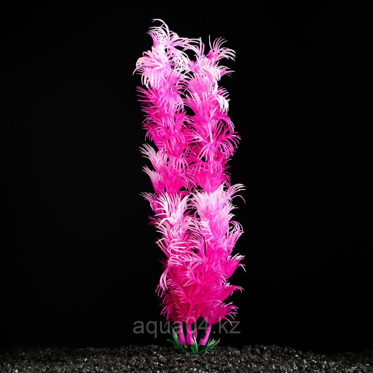Растение искусственное аквариумное розовое 4х 20 см