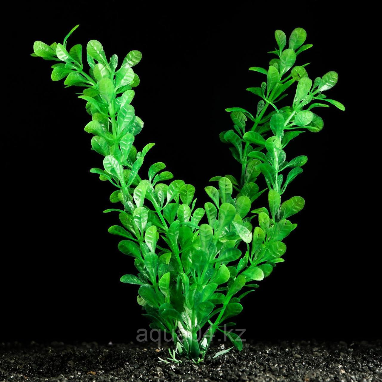 Растение искусственное аквариумное зеленое 4х 20 см