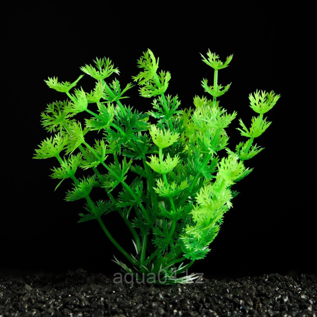 Растение искусственное аквариумное зеленое 3*13 см