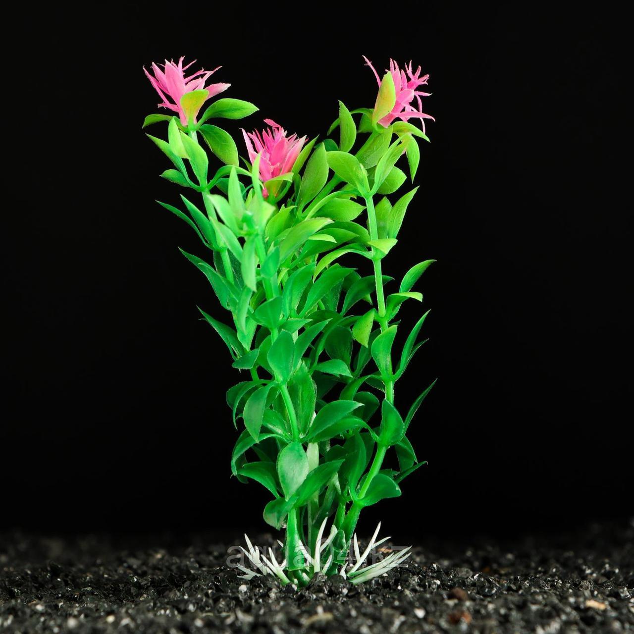 Растение искусственное аквариумное зеленое с цветами 3*13 см