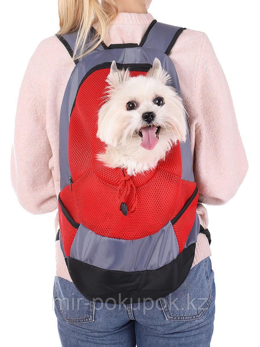 Переноска-рюкзак для собак и кошек - фото 2 - id-p67362160