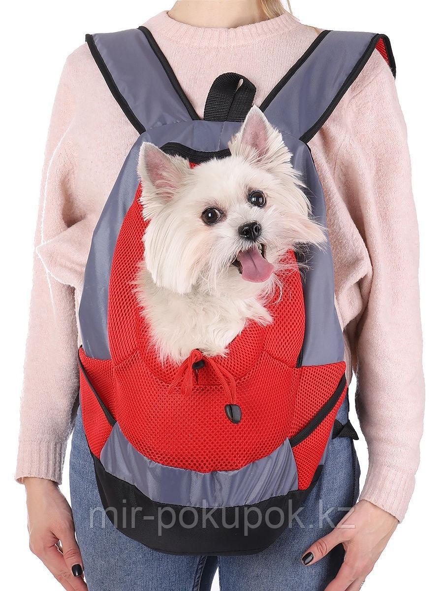 Переноска-рюкзак для собак и кошек - фото 1 - id-p67362160