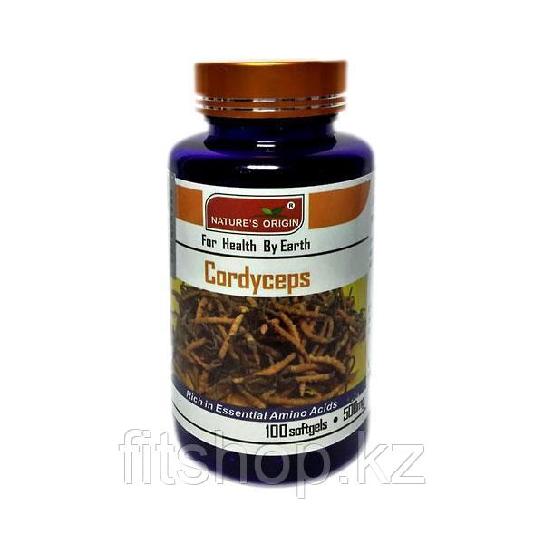 Кордицепс Cordyceps softgels - мягкие гелевые капсулы 100 шт (500 mg)