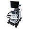 SIUI Apogee 5800 Стационарный ультразвуковой сканер с цветным допплером, фото 3