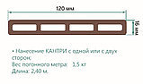 Заборная доска ДПК  TerraPol 120*16 мм пустотелая, фото 2