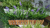 Трава декоративная искусственная с ландышами в ящике 50x10 см