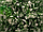 Искусственный самшит, шар (цветы белые) без кашпо, D40 см, фото 2