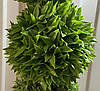 Искусственный самшит, шар (крупные листья) без кашпо, D30 см