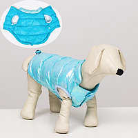 Куртка для собак двухсторонняя с утяжкой, размер 10 (ДС 25 см,ОГ 34 см,ОШ 24 см),голубая