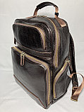 Мужской рюкзак из натуральной кожи "TONY BELLUCCI" (высота 37 см ширина 28 см, глубина 14 см), фото 3