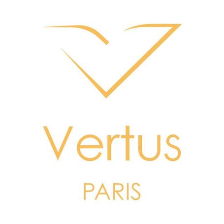  Диффузоры для дома VERTUS