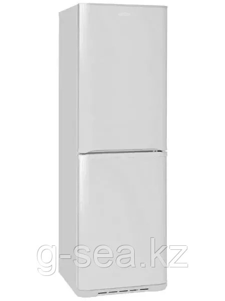 Холодильник Бирюса 631, фото 1