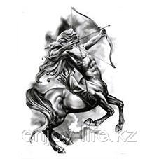 Временная татуировка 150х210 мм., фото 1