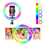 Кольцевая лампа - цветная  RGB светодиодная  20-26-30 см, фото 2