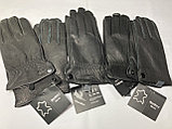 Мужские перчатки из кожи, размеры 8-10/1-2, фото 2